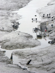 20120509124555-mandy_williams_shoreline