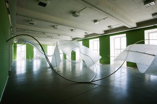 documenta 12,Iole de Freitas