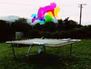20120509173037-novapaul