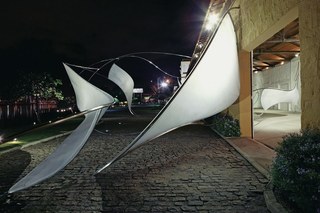 MVRD,Iole de Freitas
