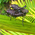 20120511014608-dscn4443