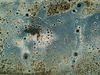 20120511180343-euh4_ngtile01