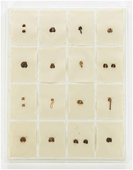 S.O.S. Starification Object Series #2,Hannah Wilke