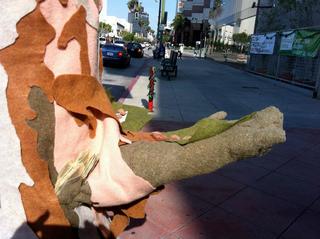 Giving Tree,Yarn Bombing Los Angeles, California Poppy Collective