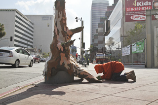 Giving Tree,Yarn Bombing Los Angeles, California Poppy Collective