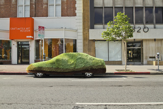 Giving Tree,California Poppy Collective, Yarn Bombing Los Angeles
