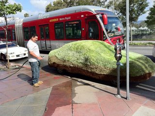 ,Yarn Bombing Los Angeles, California Poppy Collective