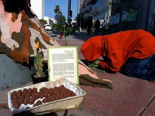 Giving Tree,Yarn Bombing Los Angeles, California Poppy Collective