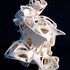 20120512234823-tangledthought_1