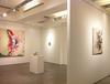 20120513000459-marlene_mocquet_installation_view11