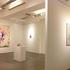 20120513000459-marlene_mocquet_installation_view11