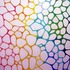 20120513150717-the_rainbow_lotus