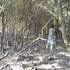 20120513191734-hu_xiangqian__superfluous_knowledge__2010__single-channel_video__26_min_10_sec__courtesy_of_long_march_space