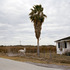 20120514101028-4_whitehorse