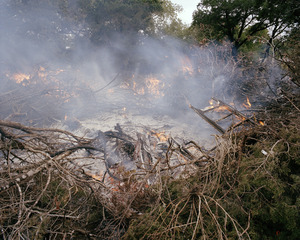 20120514101834-6_burningbrush