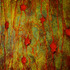 20120514155357-innerlandscapes