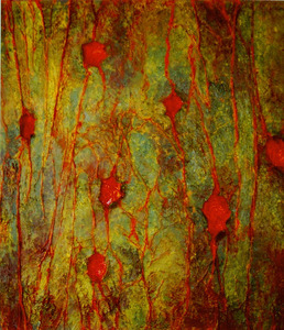 20120514155357-innerlandscapes