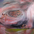 20120514155603-saraholson_runlolorun72dpi