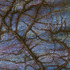 20120522030442-dusk