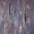 20120514160717-rupture