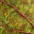 20120514161007-september