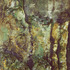20120514161232-virginiabark