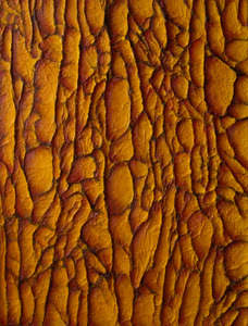 20120514170110-rhythms