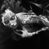 20120514191150-ritts_ex_from_the_archive_29