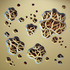 20120514200008-hugg-a-diddle_serology_movement_3