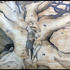 20120514214940-quintero_ln_12