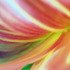20120515040017-urban_love_inbetween_creation