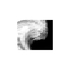 20120515075954-siddhartha_the_son_of_the_brahman