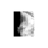 20120515080139-siddhartha_with_the_samanas