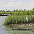 20120515141301-buffalo_web