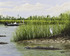 20120515141301-buffalo_web