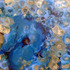 20120515144112-untitled_-_latest