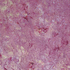 20120515150149-imabutterfly
