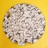 20120515150655-circulo_50x50