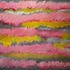 20120515163052-another_day