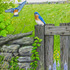 20120515170441-spring_standoff_2