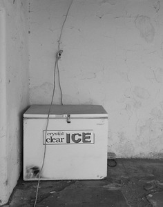 20120515171550-chapman_steve_ice