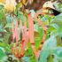 20120515205814-james_rosenquist_jungle_presence