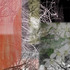 20120516035013-spring13