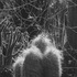 20120516205806-arie_cenkner_bluemoon_over_la_printfile