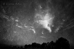20120516232908-img_8571ls-twilightparty