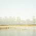 20120517002841-fata_morganaweb