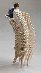 The Observer  ,Patricia Piccinini