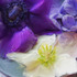 20120517142928-plateoflove_20x25_lg