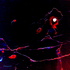 20120518140818-hond4