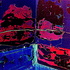 20120518141023-loupv